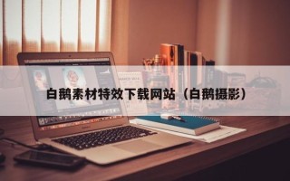 昆山白鹅素材特效下载网站（白鹅摄影）